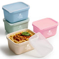 LIVINVIBE Silicone Freezer Tray Set with Lids – 4 Pack 250ml